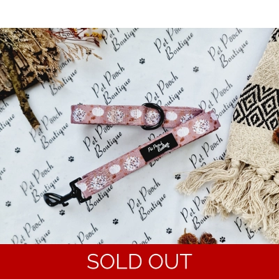 Pumpkin Leopard Latte Dog Lead - Reversible